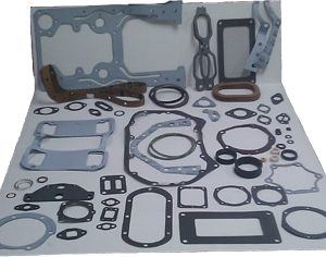 data/Overhaul_Gasket__4dfa1cf3f114d.jpg