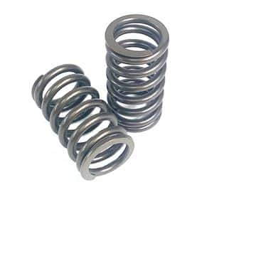 Valve Spring | Cummins 6CT / 6CTA 8.3 Engine | C3906412