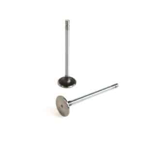 Intake Valve | Cummins QSC 8.3 (2106, 3446) Engine | 3942588