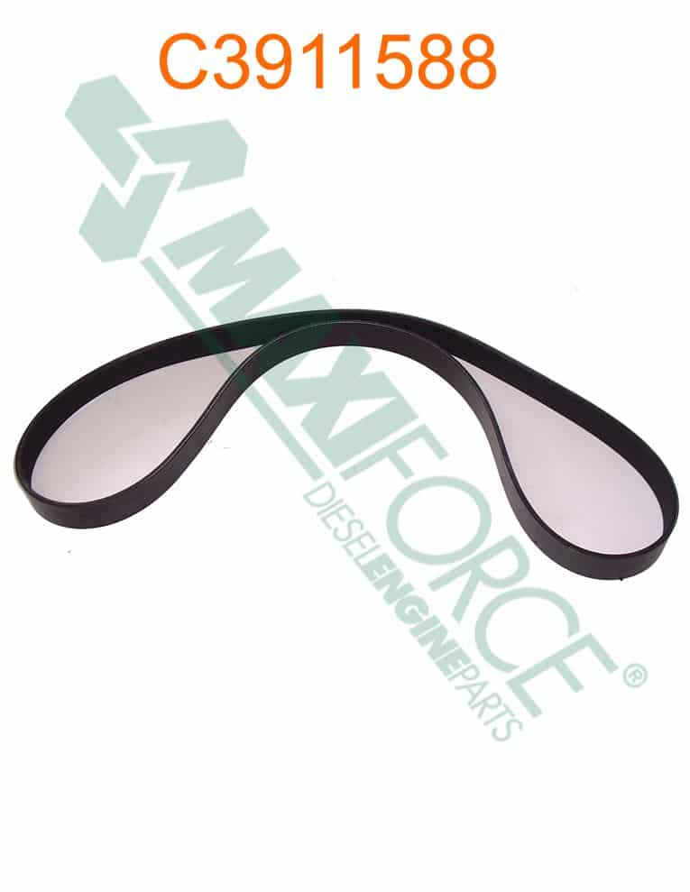 Belt 56.0L | Cummins B SERIES | C3911588