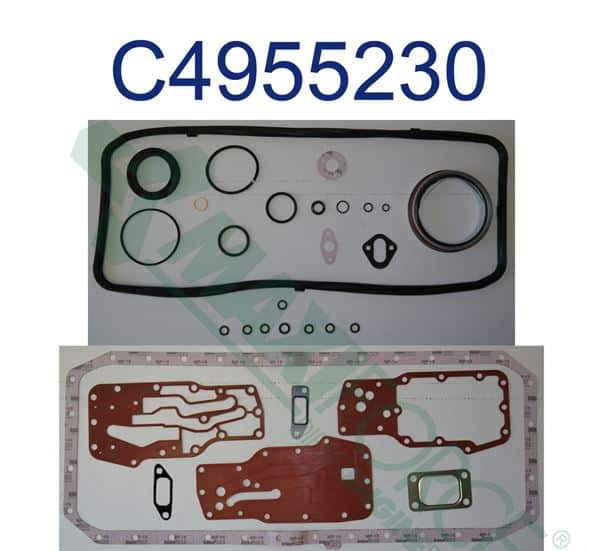 Bottom Set Gasket | Cummins QSB 6.7 | C4955230