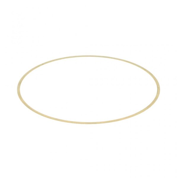 Liner Shim .020in | Cummins ISX Engine | 162029 / 5298564