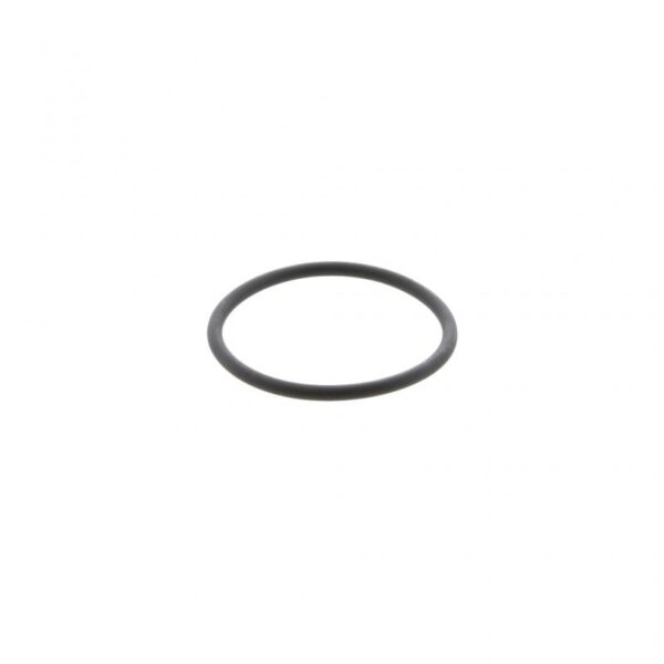 Injector O-RING | Detroit DD15 | 621248 – Heavy Duty Kits