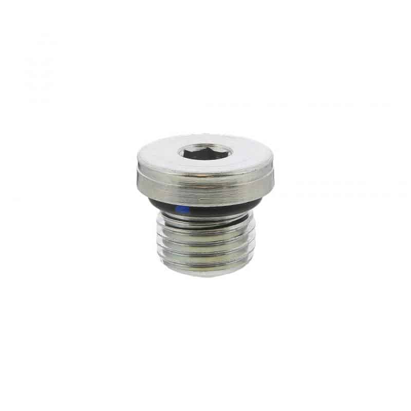 PLUG,O-RING