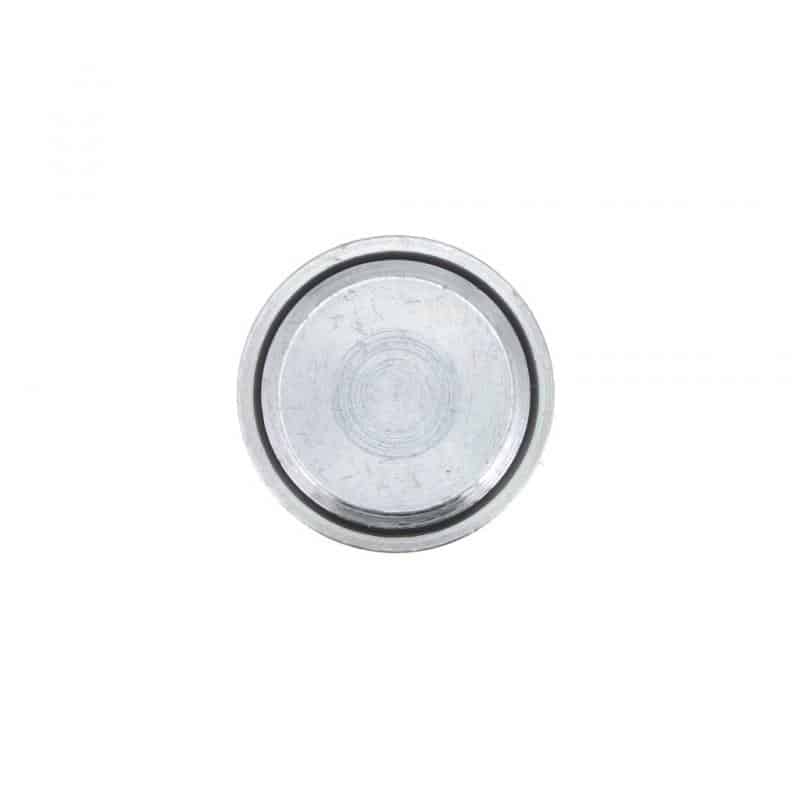 PLUG,O-RING