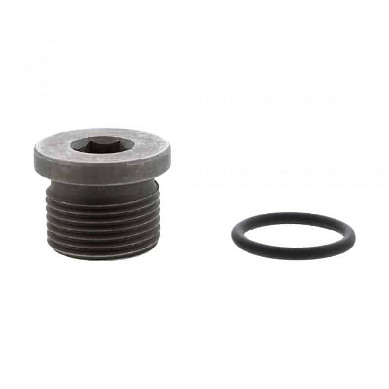 PLUG,O-RING