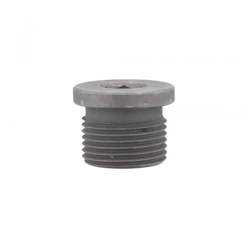 PLUG,O-RING