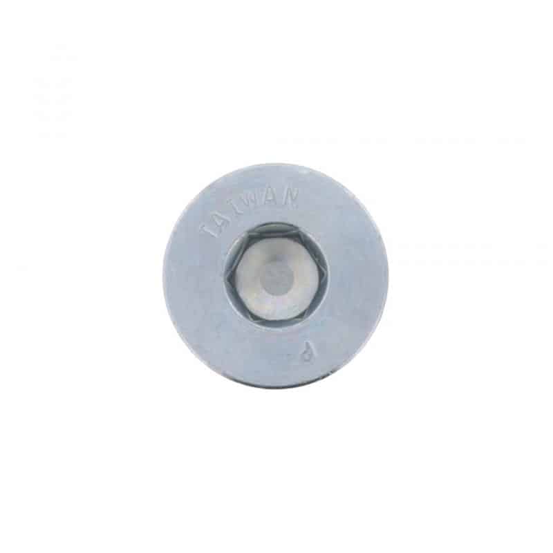 PLUG,O-RING