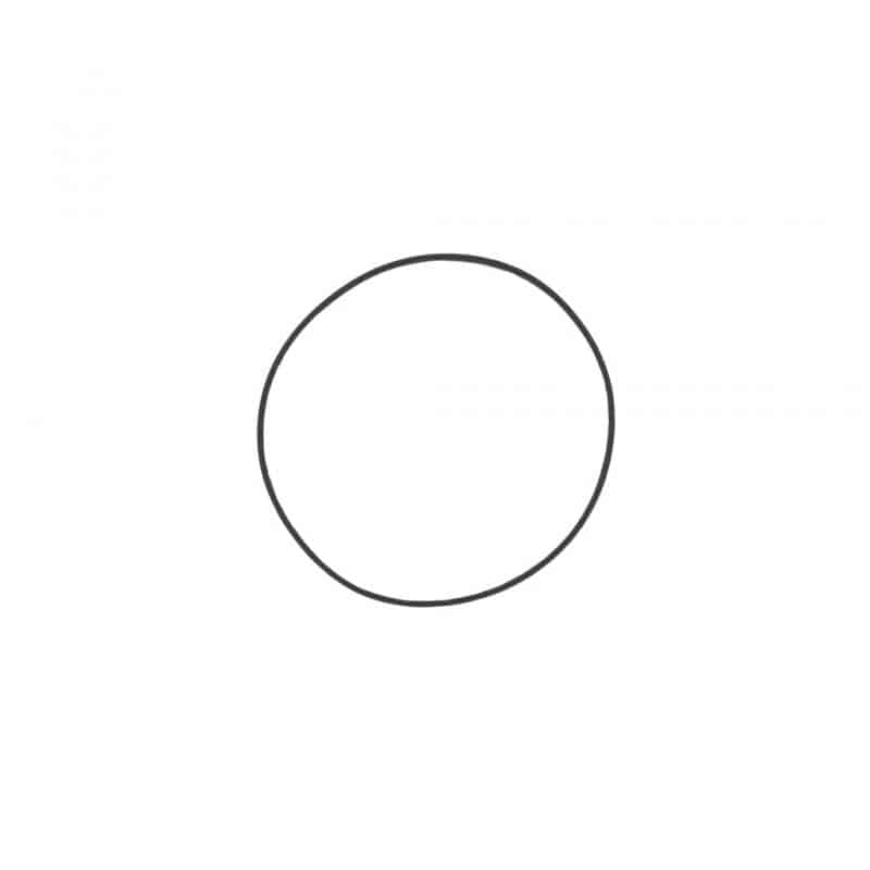 RING,SEAL