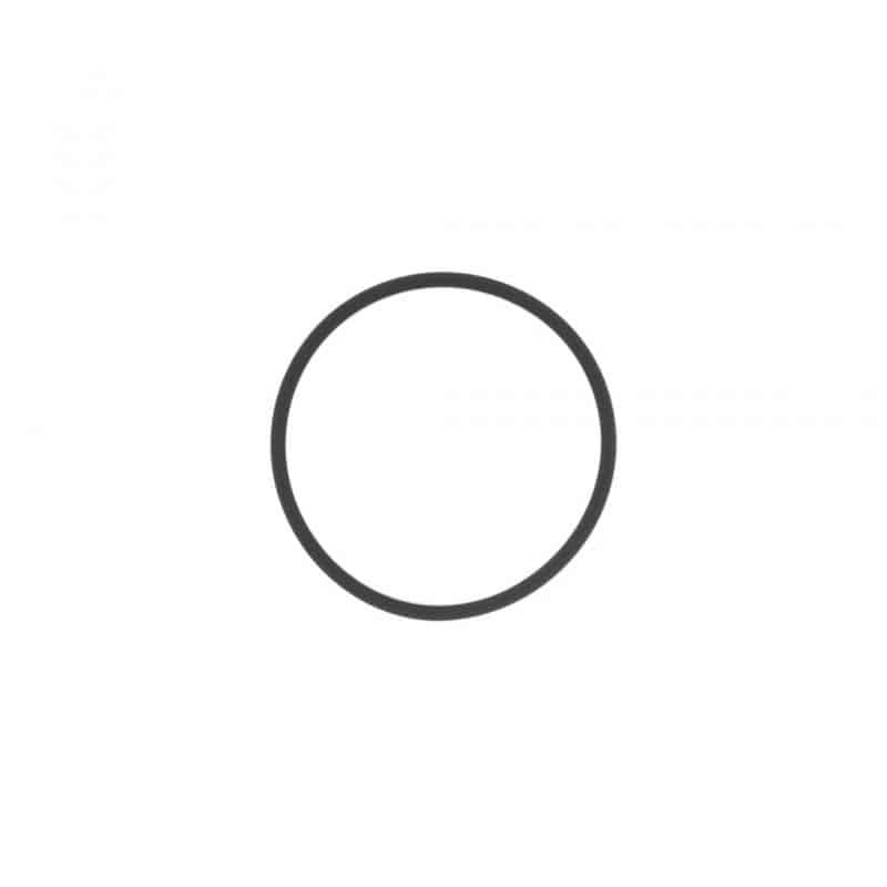 RING,SEAL.