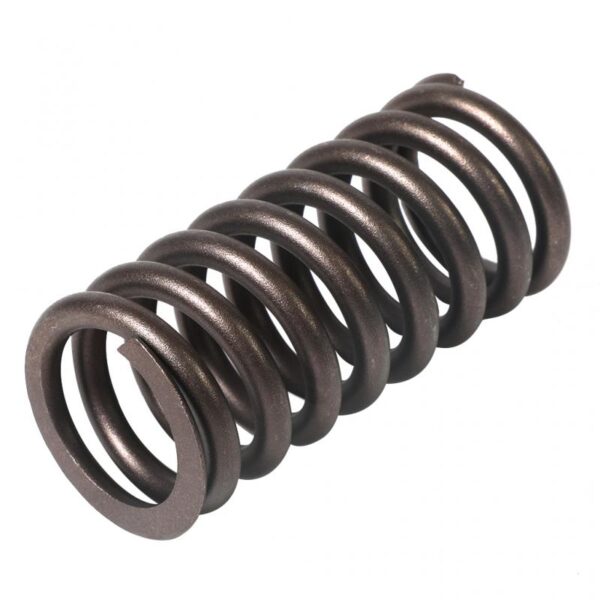 Valve Spring 1.26in | Cummins 855 Engine | 192047 / 211999
