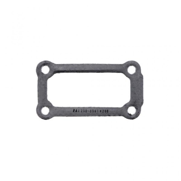 Chamber Gasket Caterpillar C13 Engine | 331490 / 2506591