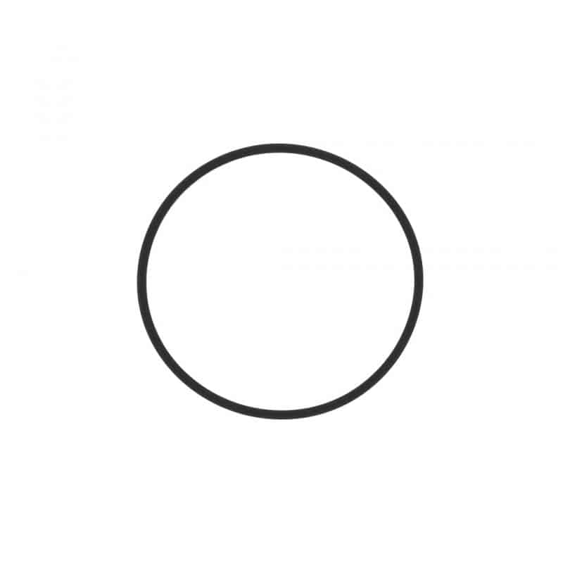 O-RING,FUEL