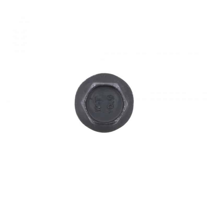SCREW,OIL