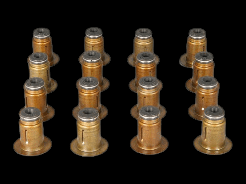 Engine Valve Stem Oil Seal for Ford Power stroke 6.0L