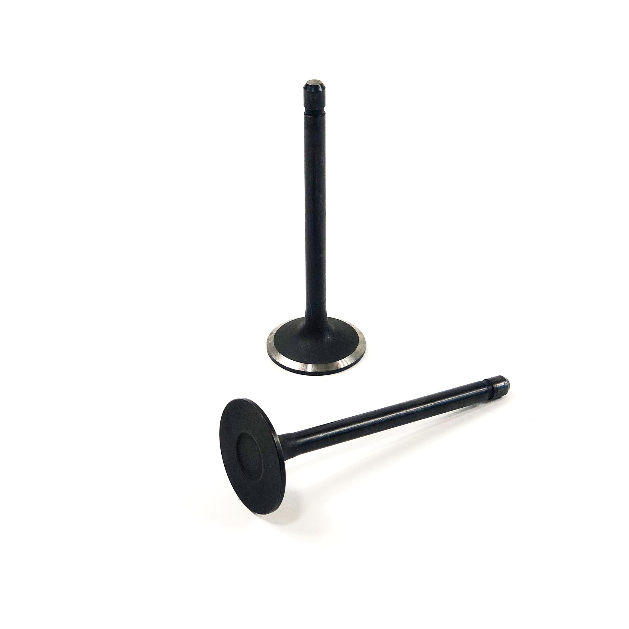 intake valve for caterpillar c3.8 | b389 5135