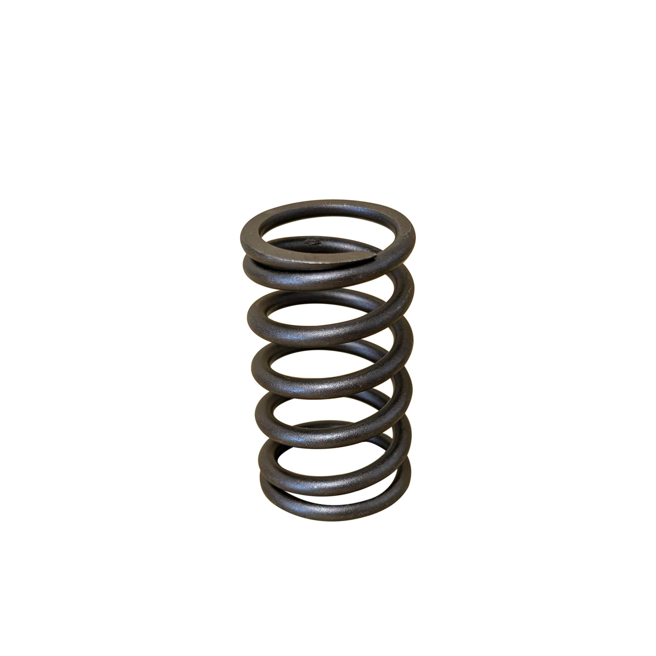 spring, valve for caterpillar c7.1 | b436 0520