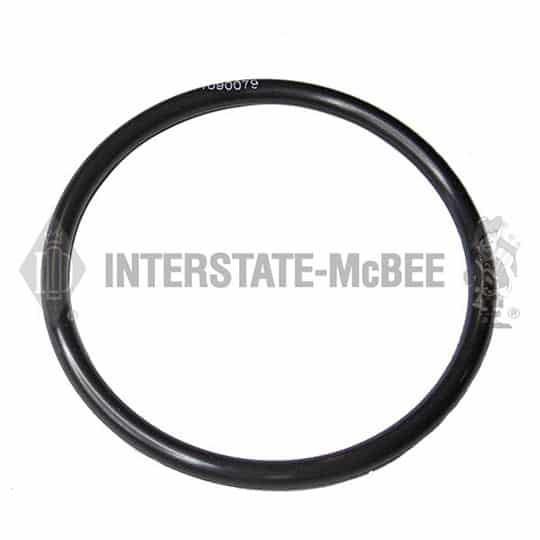 m 1090079.jpg