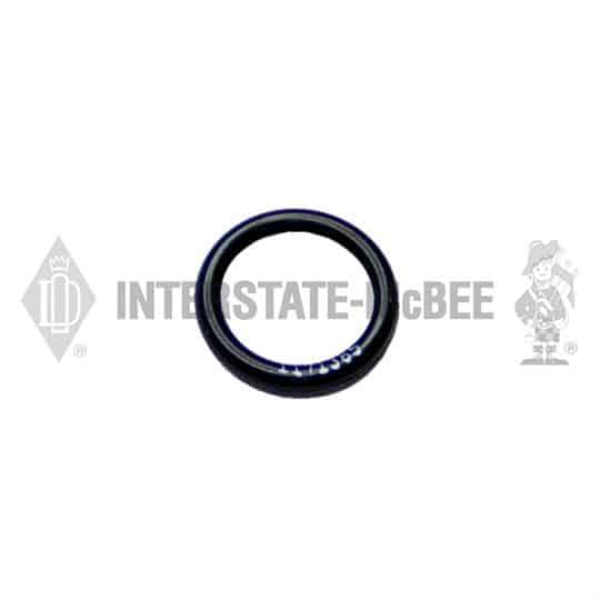 m 1171385.jpg