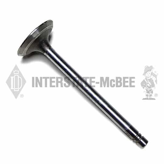 m 1196772.jpg