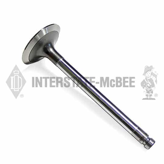 m 1456855.jpg