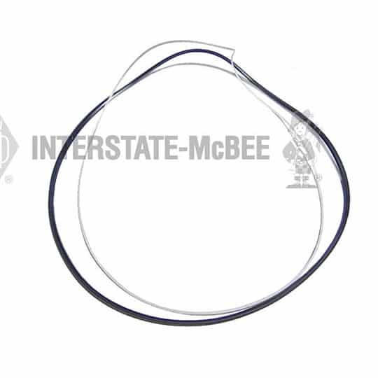 m 1463645.jpg