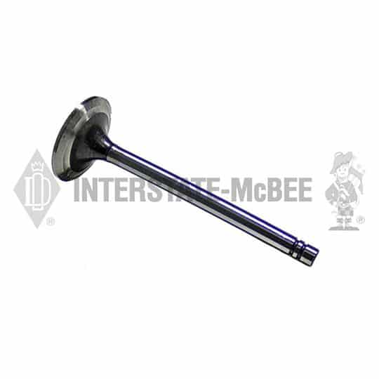 m 1487455.jpg