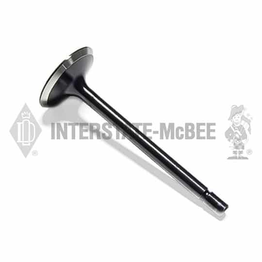 m 1540888.jpg