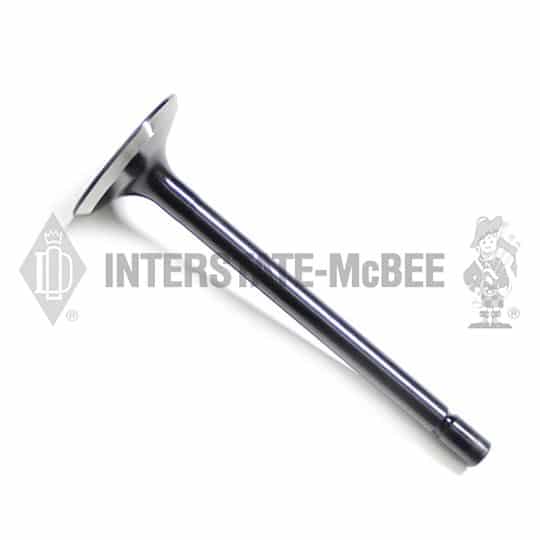 m 1540889.jpg