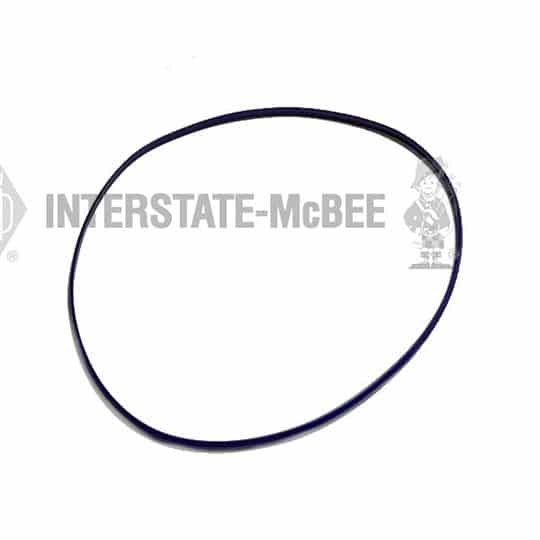 m 1550810.jpg
