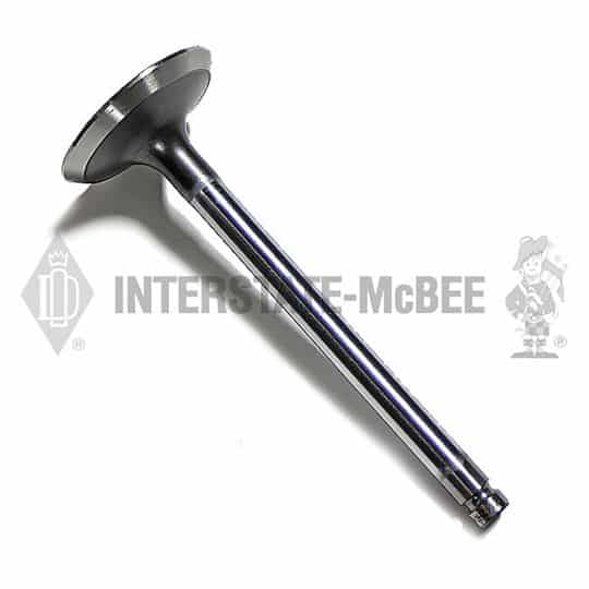 m 1763134.jpg