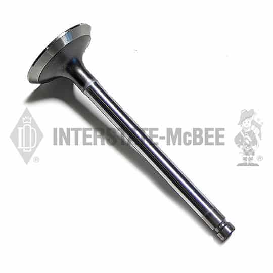 m 1763137.jpg