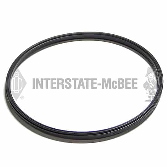 m 2892088.jpg