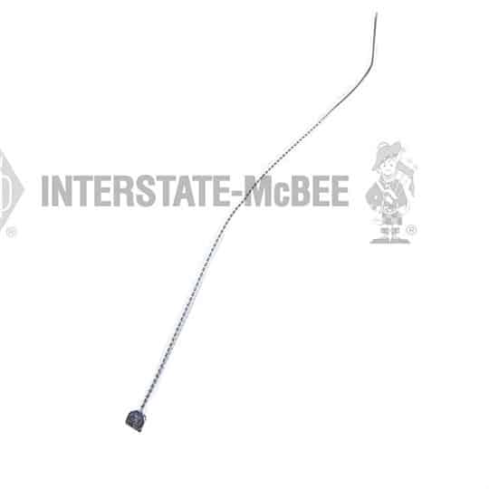 m 3003156.jpg