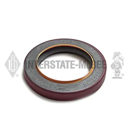m 3020185.jpg