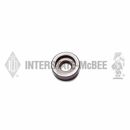 m 3027633.jpg
