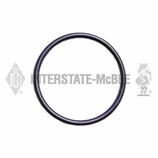 m 3045979.jpg