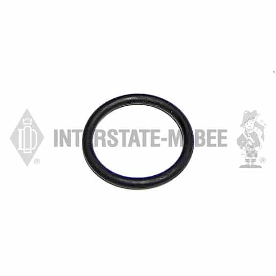 m 3058654.jpg