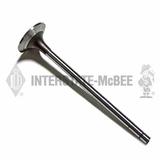 m 3069672.jpg