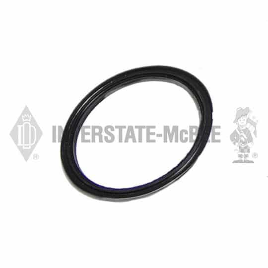 m 3076203.jpg