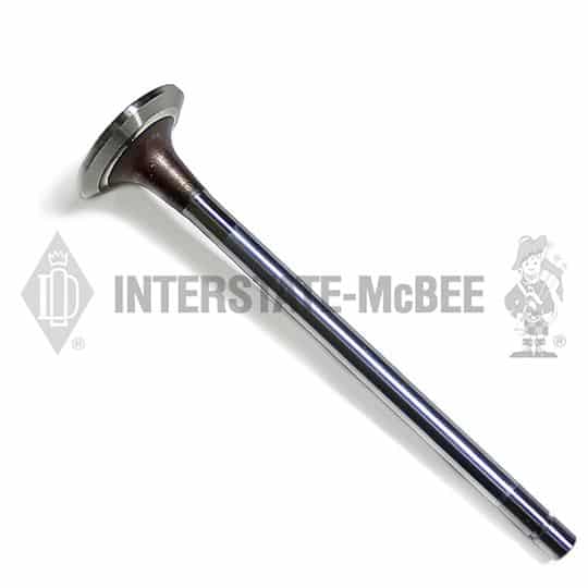m 3417713.jpg