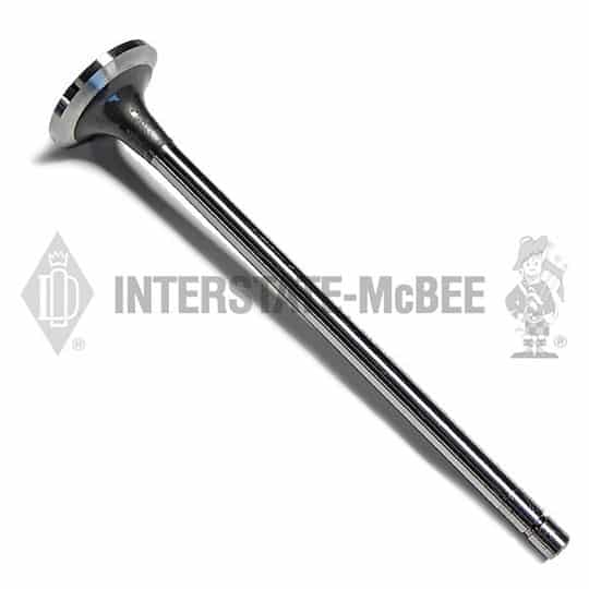 m 3418020.jpg