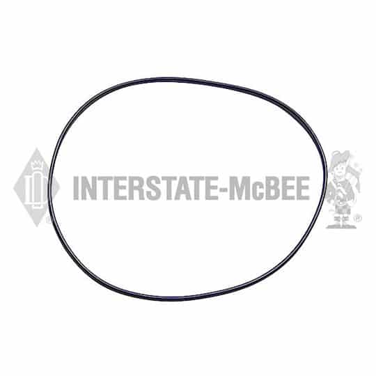 m 3678737.jpg