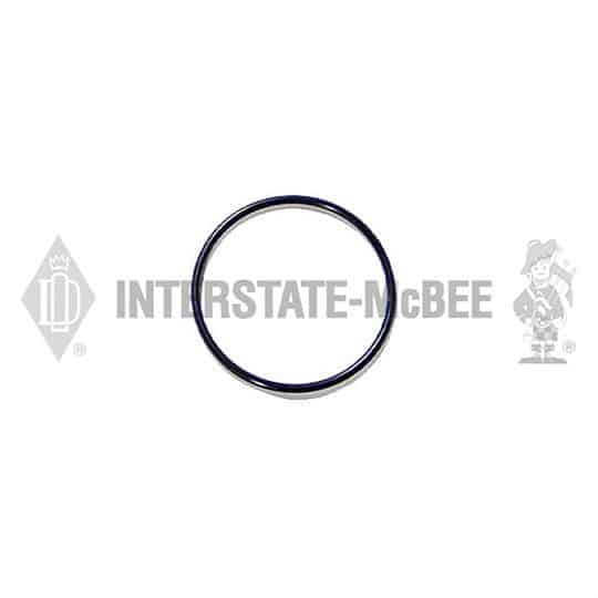 m 3866102.jpg