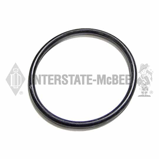 m 3910517.jpg
