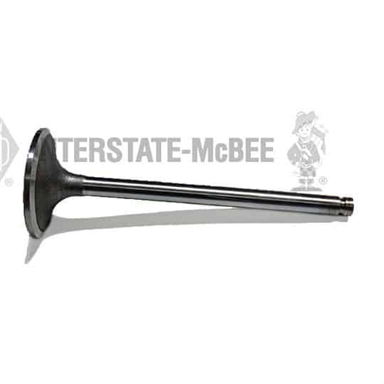 m 3924492.jpg