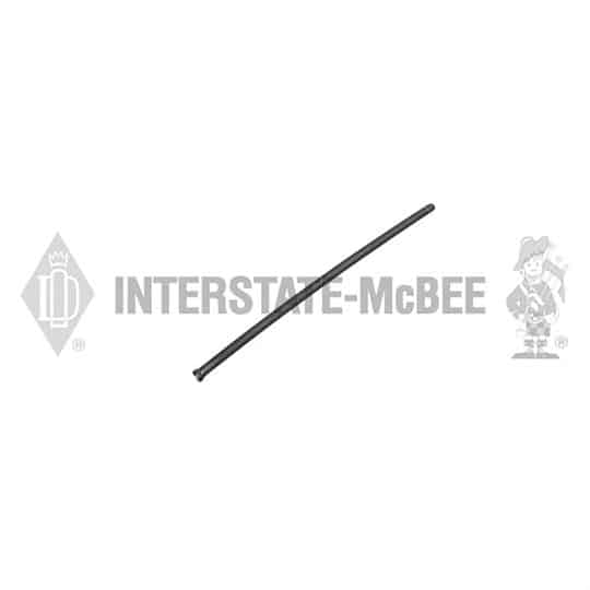 m 3939970.jpg