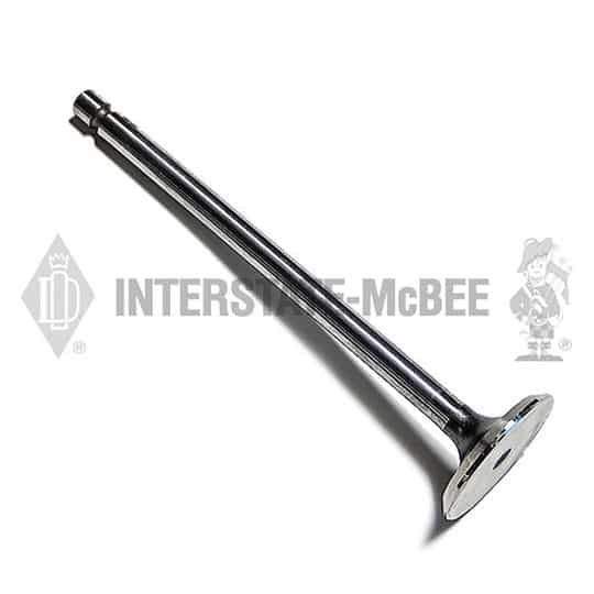 m 3940734.jpg