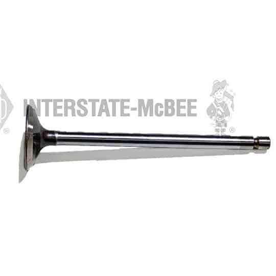 m 3968183.jpg