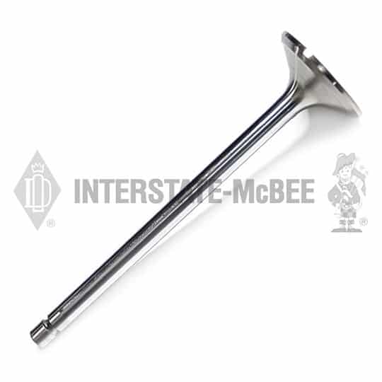 m 3969637.jpg